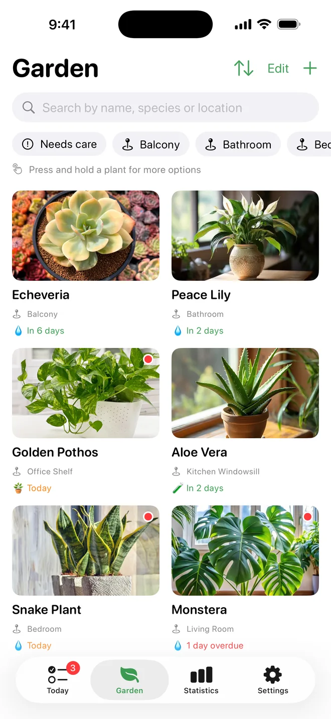All Your Houseplants